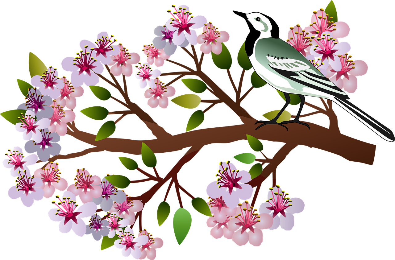 Assemblée générale le vendredi 27 Mars 2026